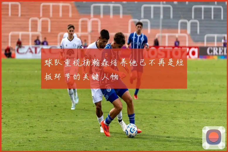 球队重视杨瀚森培养他已不再是短板环节的关键人物